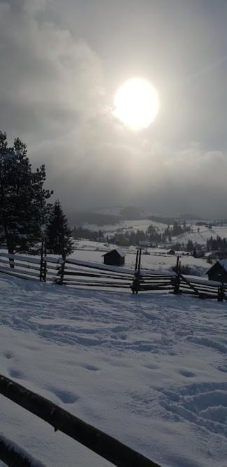 Pensiunea La Bella Vista Poiana Negrii Dış mekan fotoğraf