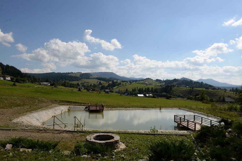 Pensiunea La Bella Vista Poiana Negrii Dış mekan fotoğraf